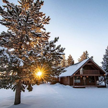 Yellowstone Cozy Caldera Cabin Island Park Exterior photo