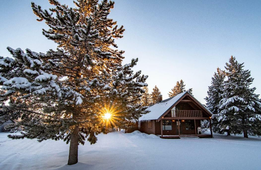 Yellowstone Cozy Caldera Cabin Island Park Exterior photo